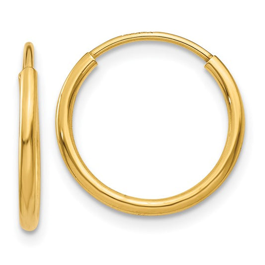 Endless Hoop Earring