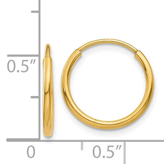 Endless Hoop Earring