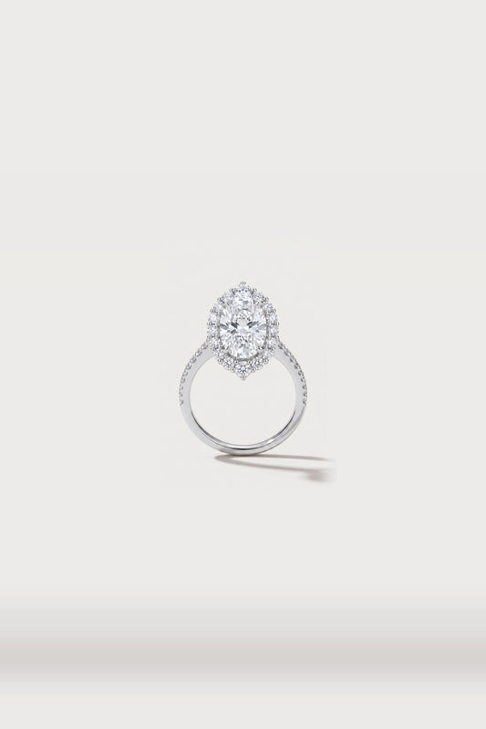 Elongated Oval Halo Pavé Ring